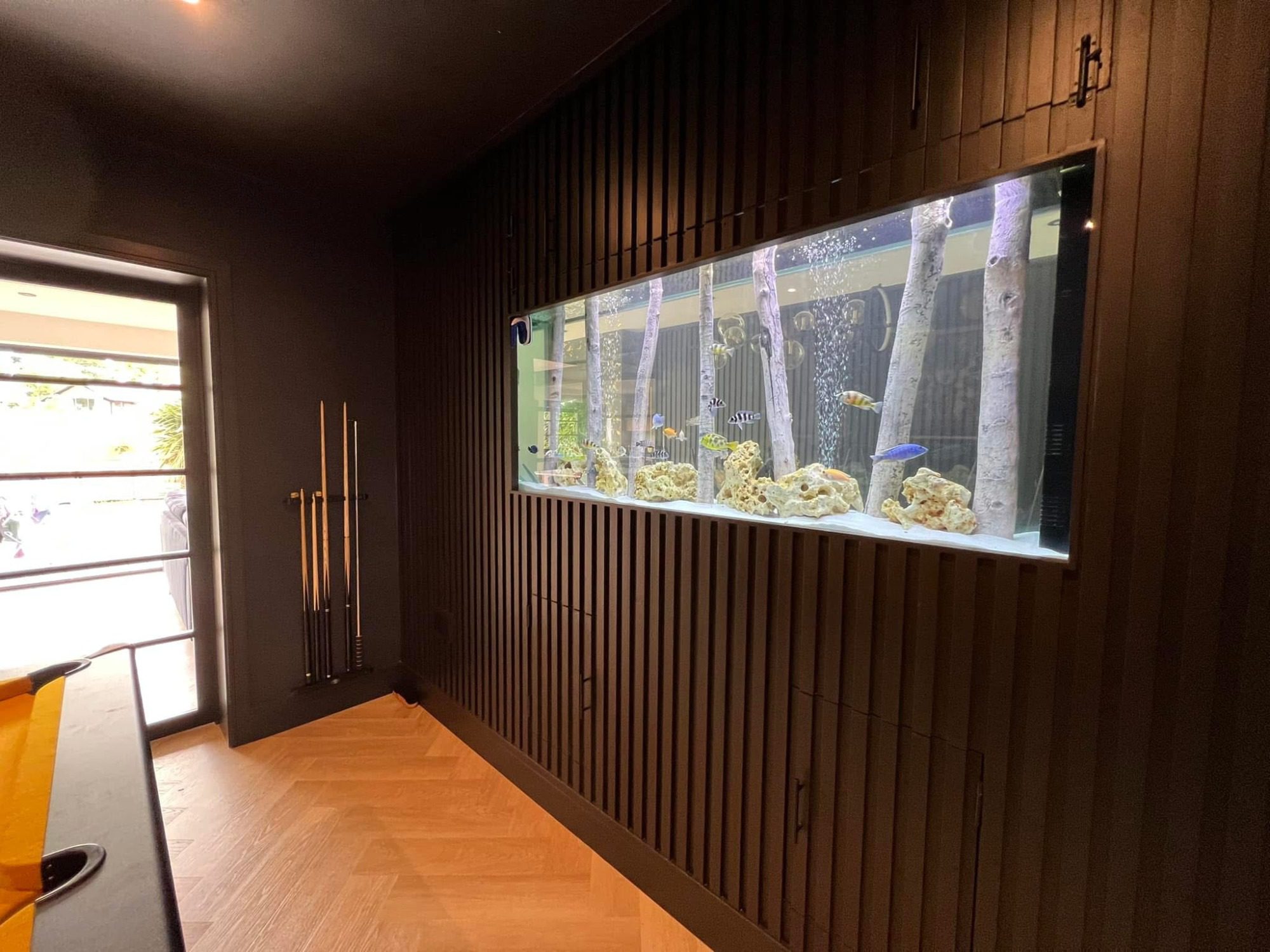 Home | Aquariums 2 Art