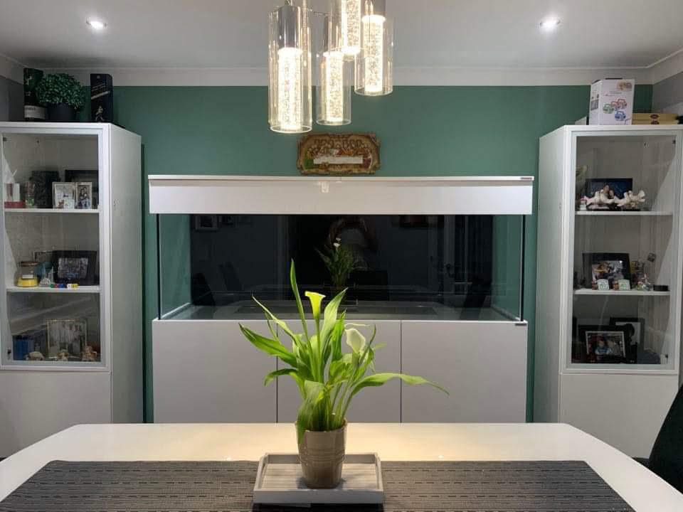 Home | Aquariums 2 Art